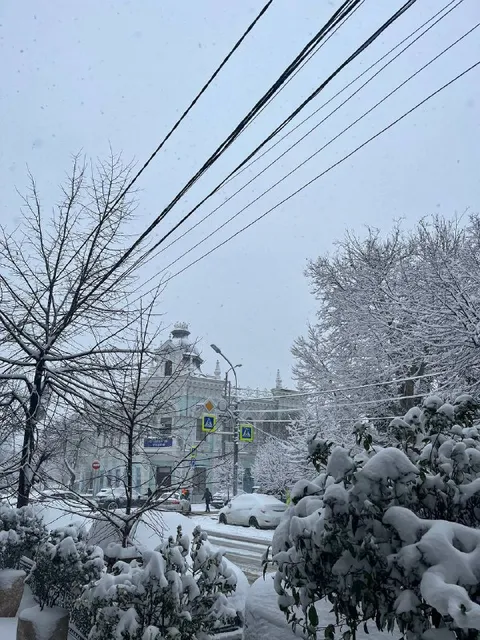 Снег в городе кубаноидов