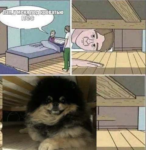 Пёс под кроватью