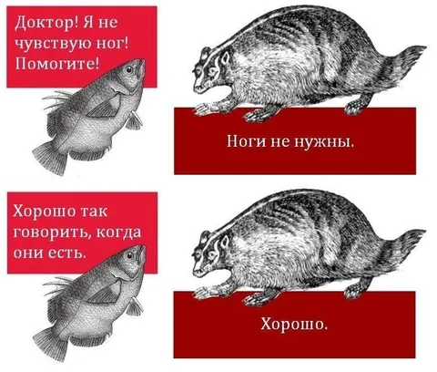 Рыба жалуется на ноги
