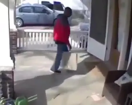 Кот внезапно выскакивает из двери