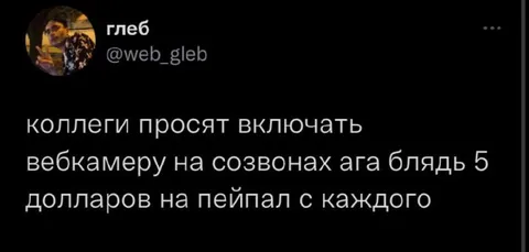 Вебкамера за пять долларов