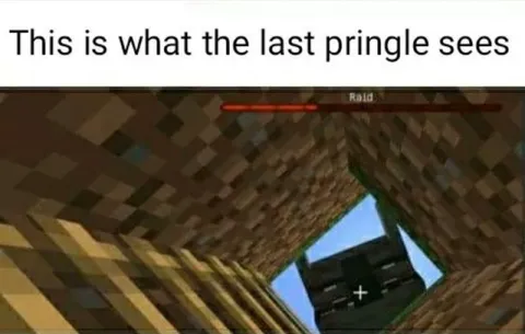 Last Pringle Sees Minecraft Raid