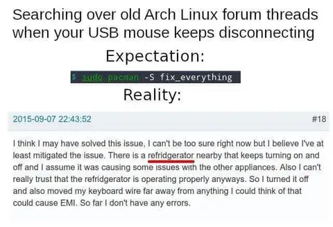 Arch Linux Forum Reality