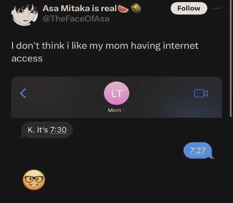 Mom Discovers Internet Access