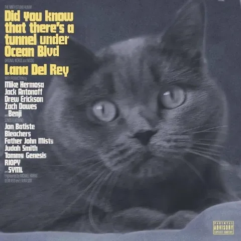 Cat Under Ocean Blvd Album Cover