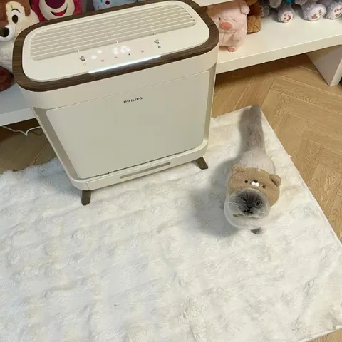 Кот рядом с очистителем воздуха