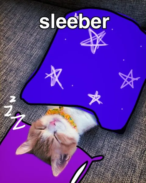 Sleeber Cat Under Blanket