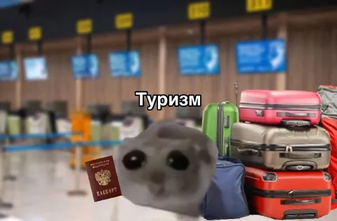 Туризм с паспортом и чемоданами