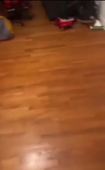 Погоня за убегающим котом