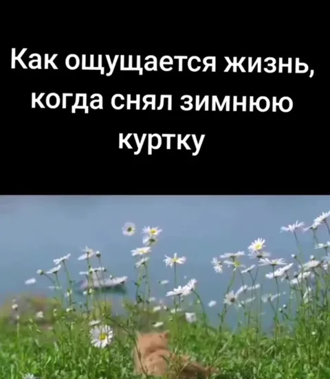 Жизнь без зимней куртки