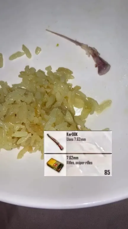 Rice Plate Kar98K