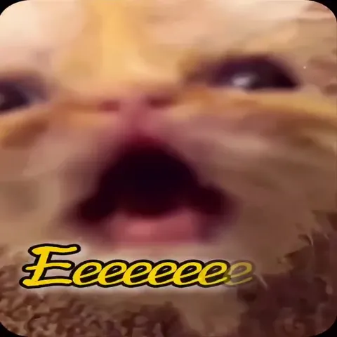 Кот кричит на всю природу