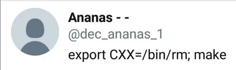 C++ Build Deletes Everything
