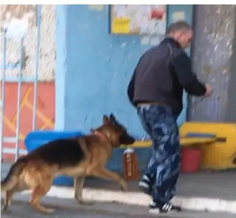 Собака хватает мужчину за штаны