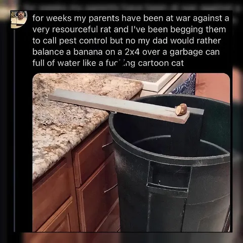 Dad's Cartoon Cat Rat Trap