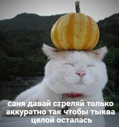 Саня, стреляй аккуратно