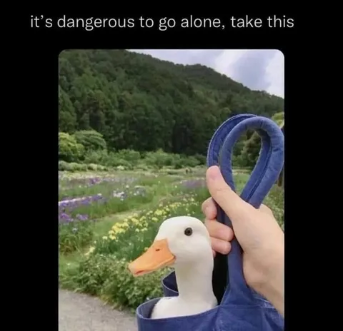 Dangerous to Go Alone Duck