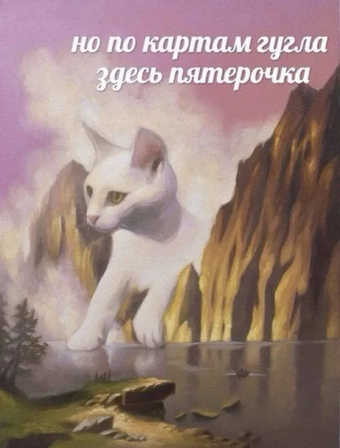Пятёрочка по картам Google