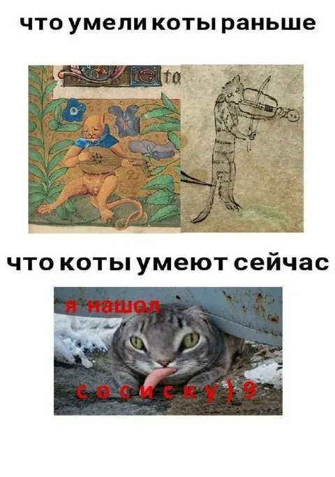 Коты раньше и сейчас