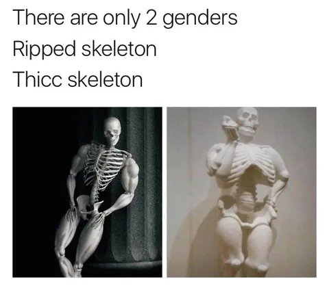 There are only 2 genders skeleton meme