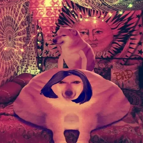 Surreal Doge Room