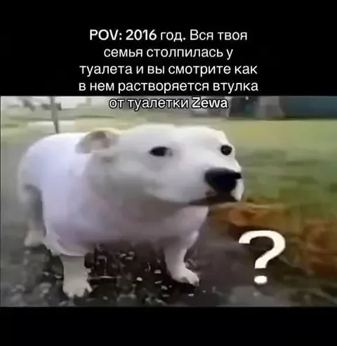 Семья смотрит на втулку Zēwa