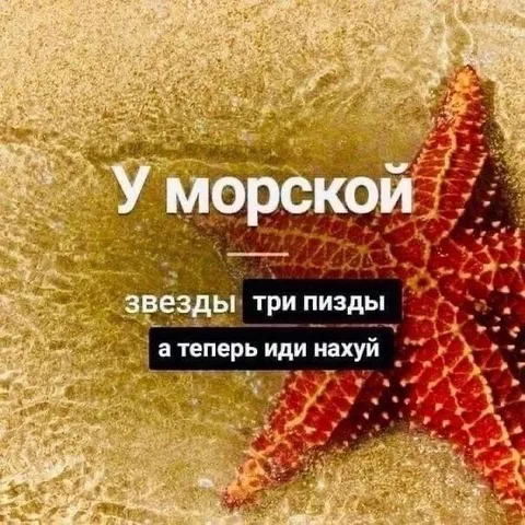 У морской звезды три пизды