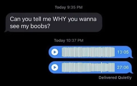 Why Do You Wanna See My Boobs