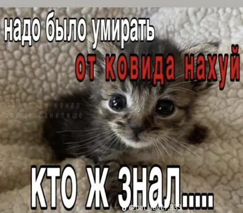 Надо было умирать от ковида