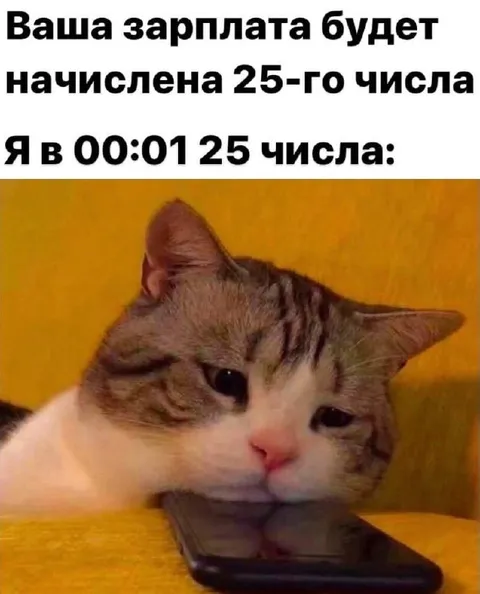 Зарплата 25-го числа