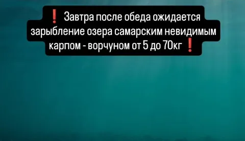 Зарыбление невидимым карпом