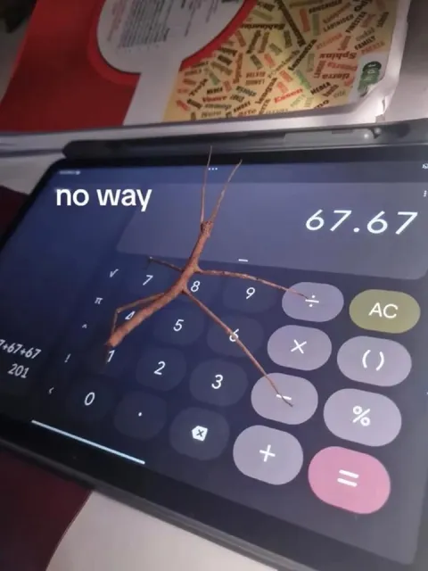 No Way Calculator Result