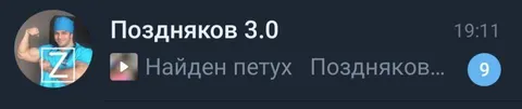 Найден петух в чате