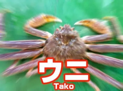 ウニとTakoの謎画像