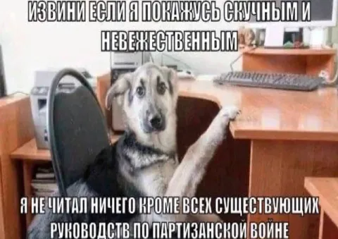 Руководства по партизанской войне
