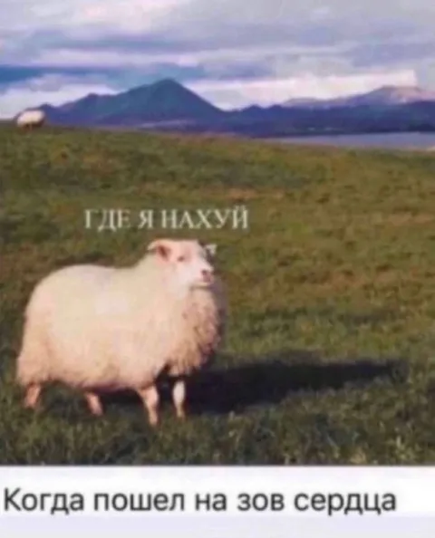 Когда пошёл на зов сердца