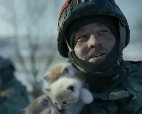 Солдат и котята