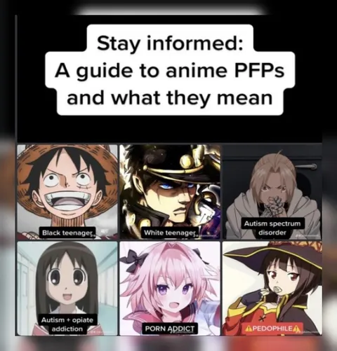 Anime PFP Guide Gone Wrong
