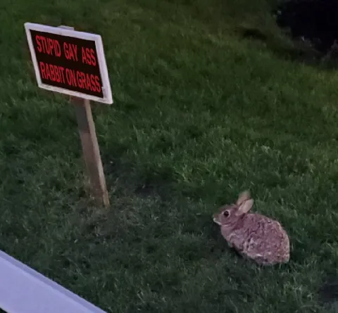 Stupid Gay Ass Rabbit on Grass