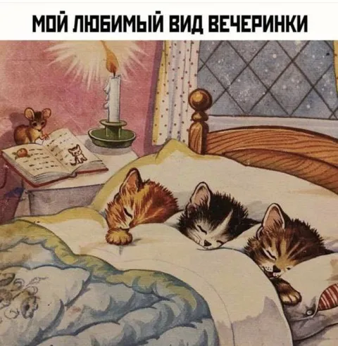Мой любимый вид вечеринки