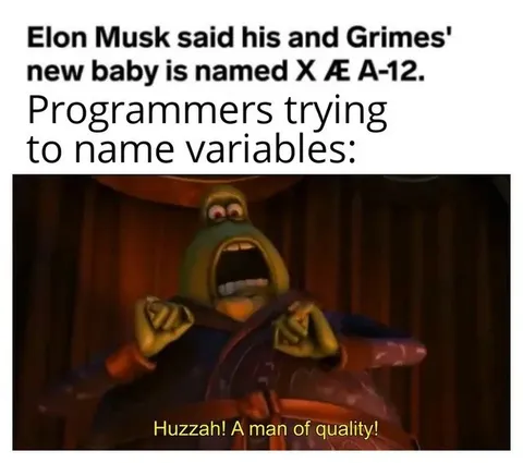 Programmers Naming Variables