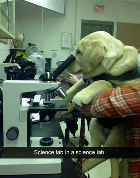 Science Lab in a Science Lab
