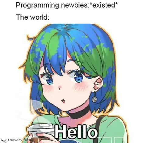 Programming Newbies Exist