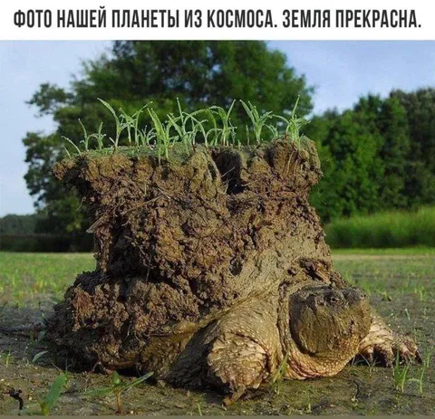 Земля прекрасна из космоса
