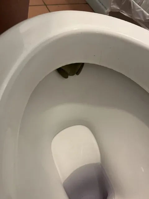 Лягушка в туалете