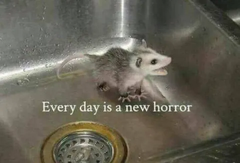Every Day Is a New Horror
