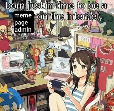Born to Be a Meme Page Admin
