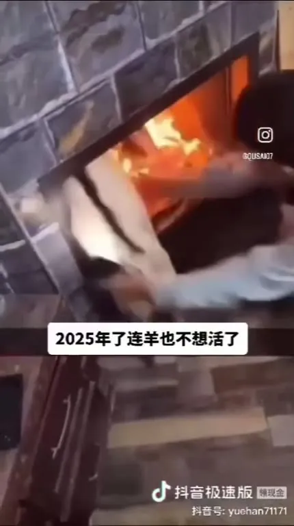 2025年了连羊也不想活了