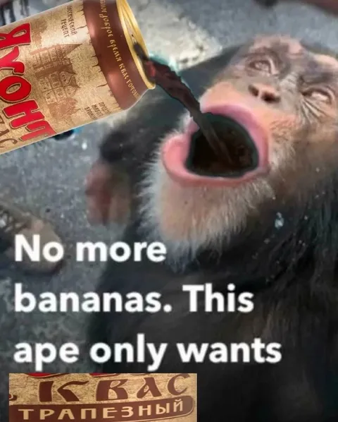 Ape Wants Kvass