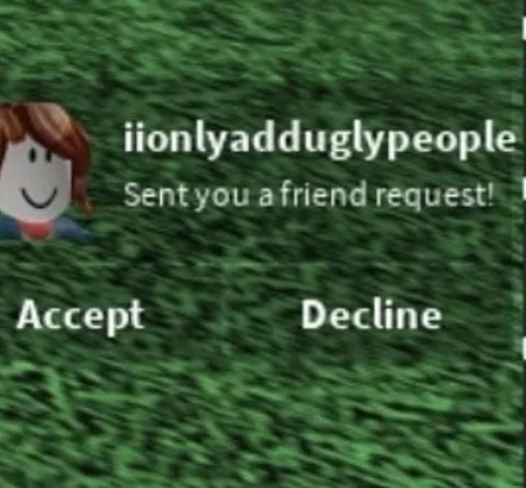 Roblox Friend Request From Ugly People